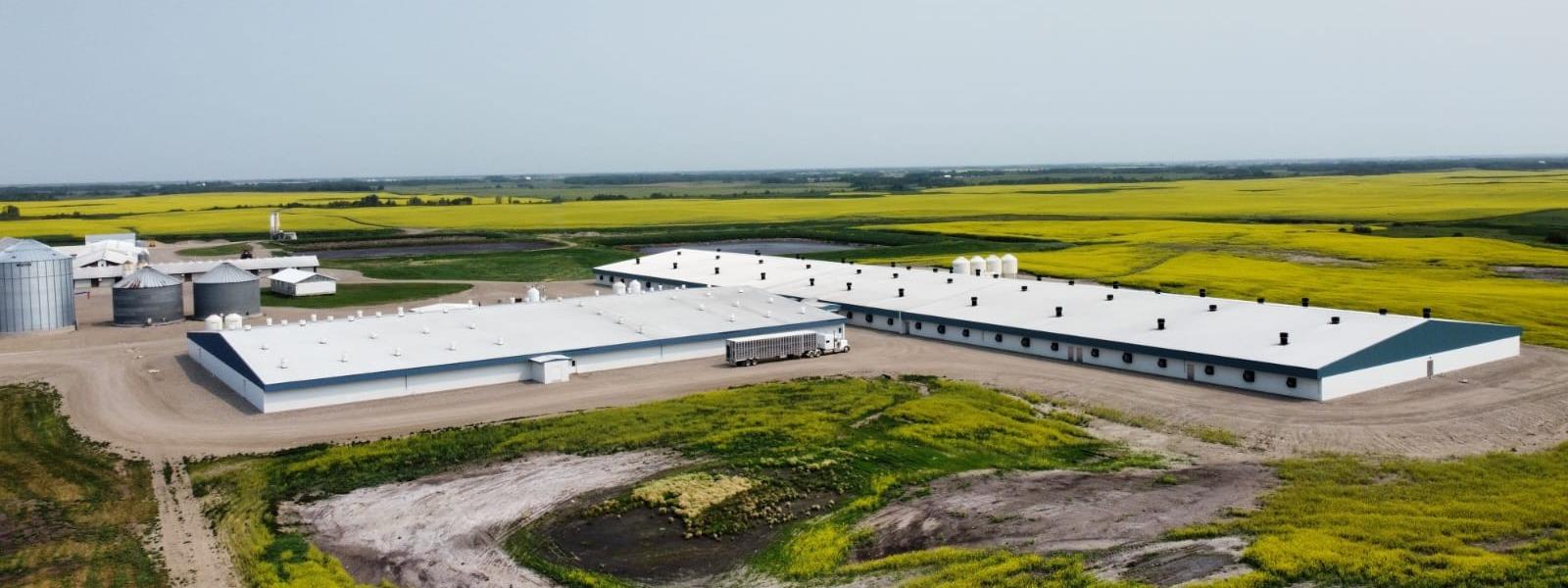 Responsive Swine Farm Canada   1600X600 (Mobile 0 Breakpoint) Swine Farm Canada   1600X600 (Desktop 768 Breakpoint) 