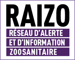 Raizo logo – stylized brand mark for Réseau d